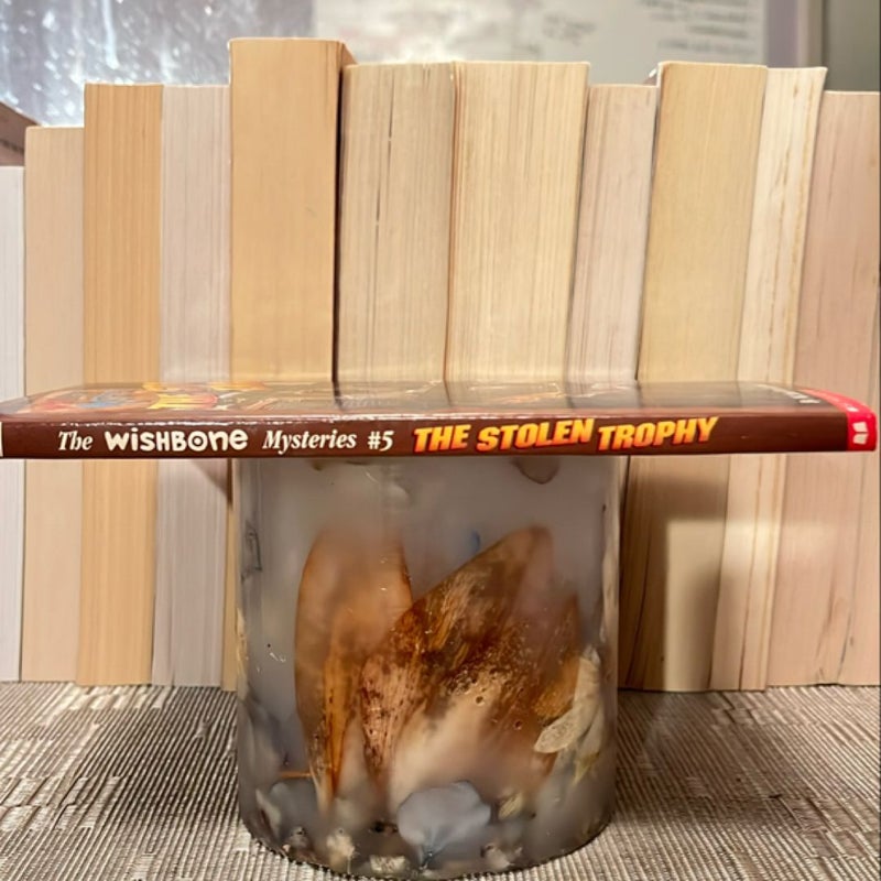 The Stolen Trophy