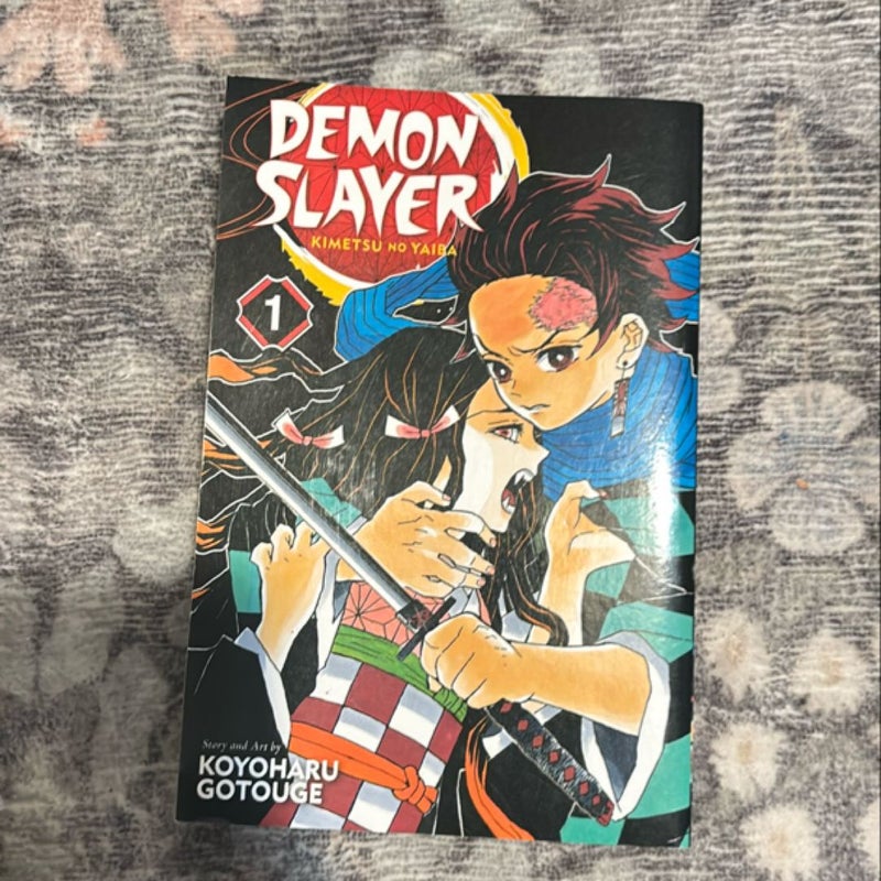 Demon Slayer: Kimetsu No Yaiba, Vol. 1