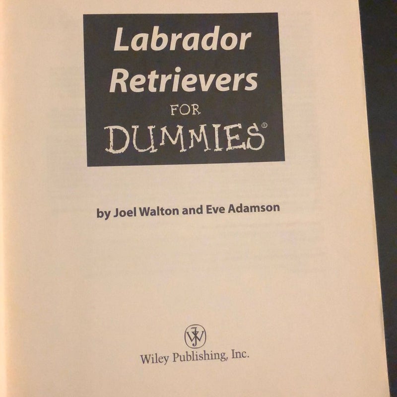 Labrador Retrievers for Dummies