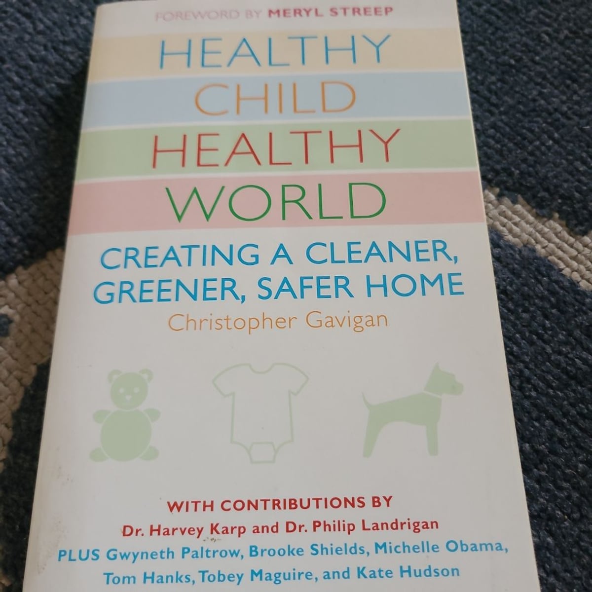 Healthy Child Healthy World by Christopher Gavigan