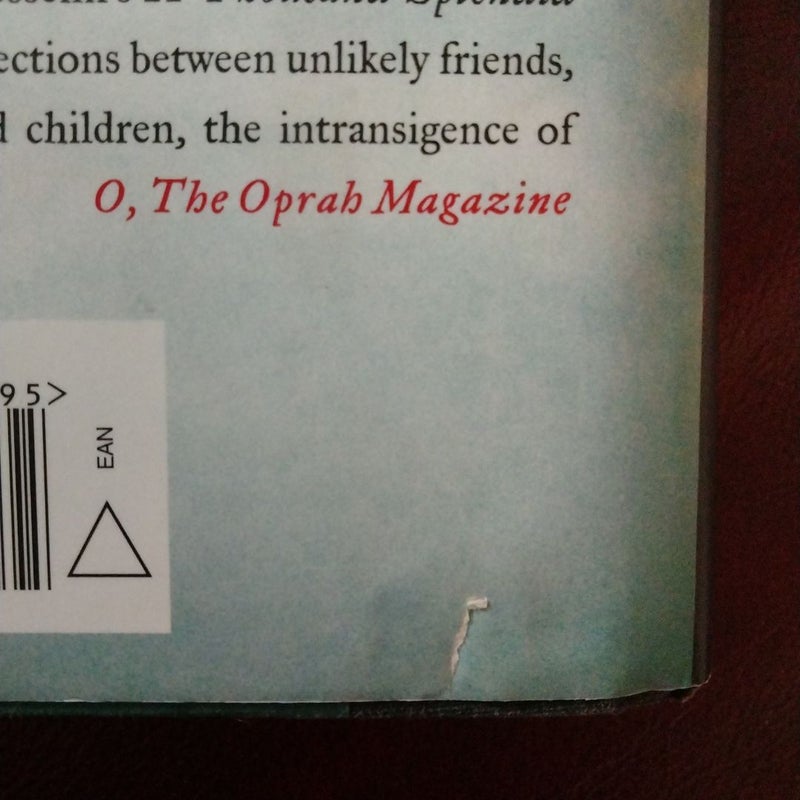 A Thousand Splendid Suns
