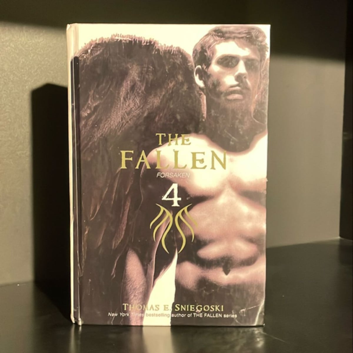 The Fallen 4 by Thomas E. Sniegoski