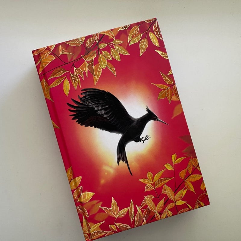 The Hunger Games UK Boxset