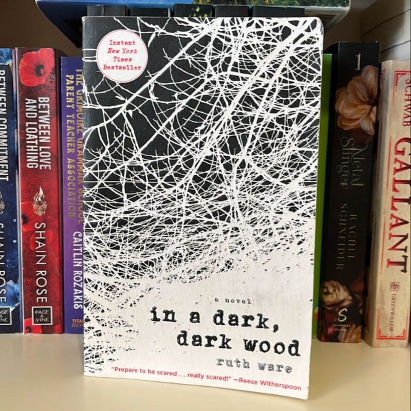 In a Dark, Dark Wood