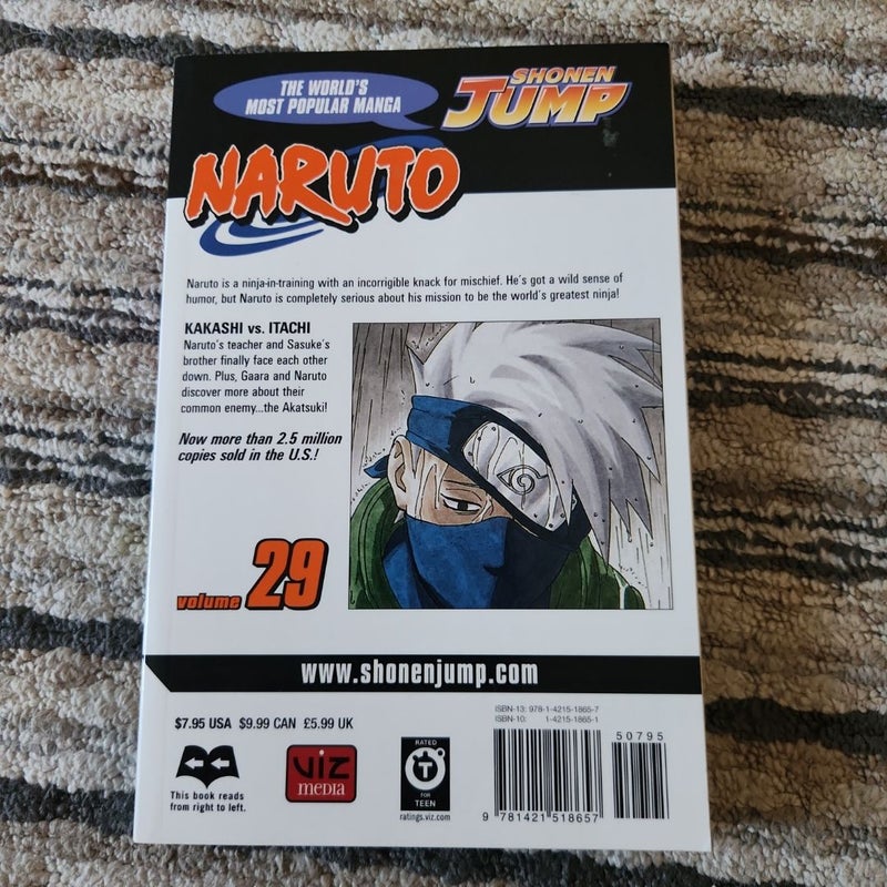 Naruto, Vol. 29