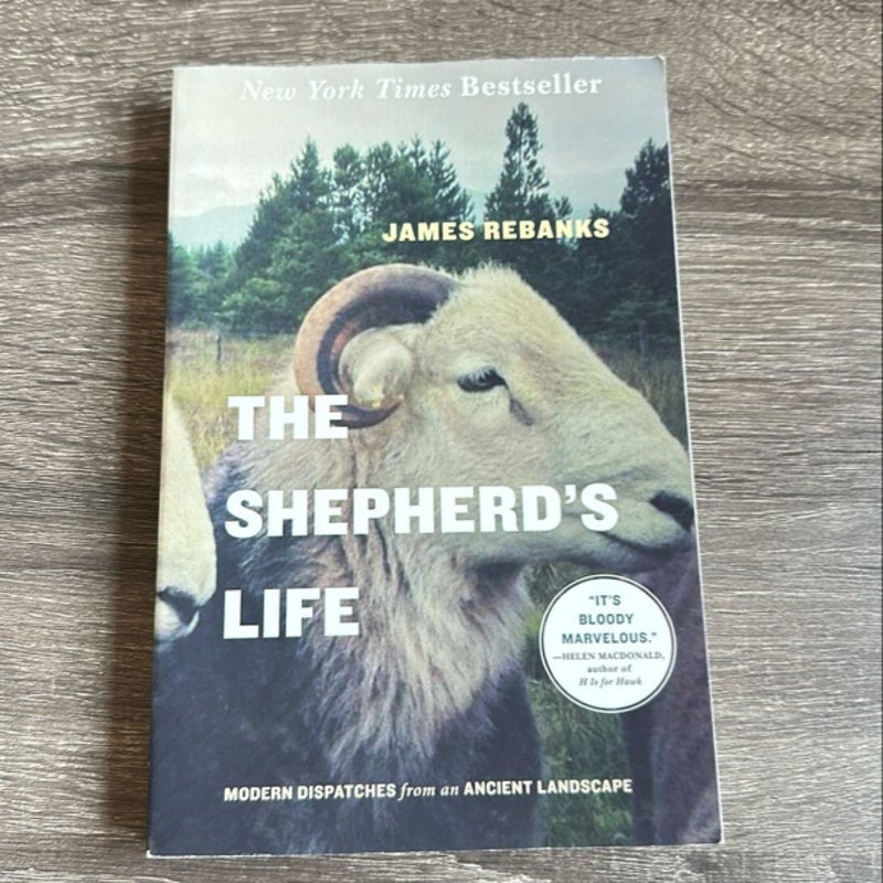 The Shepherd's Life