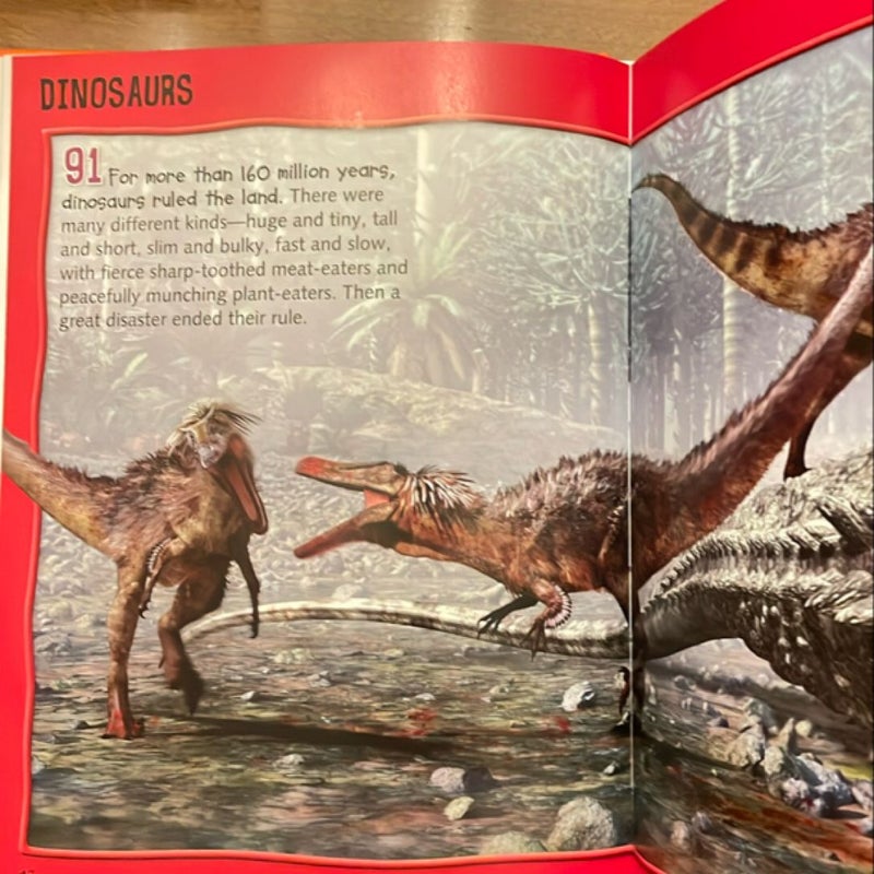 Wild About Dinosaurs