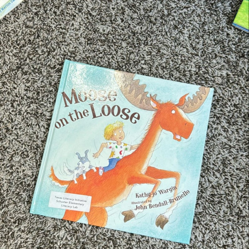 Moose on the Loose