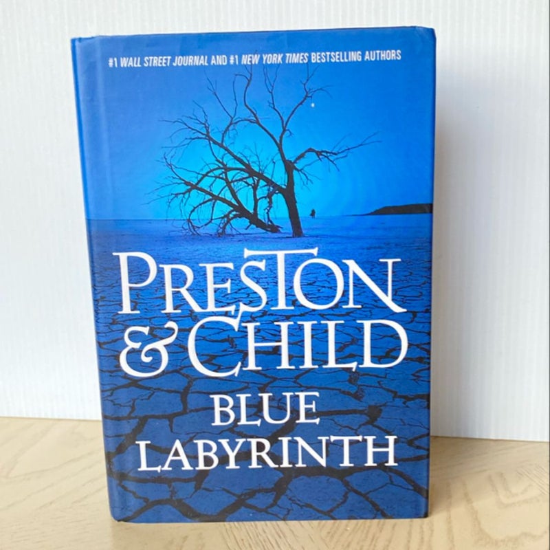 Blue Labyrinth - Hardcover First Edition 