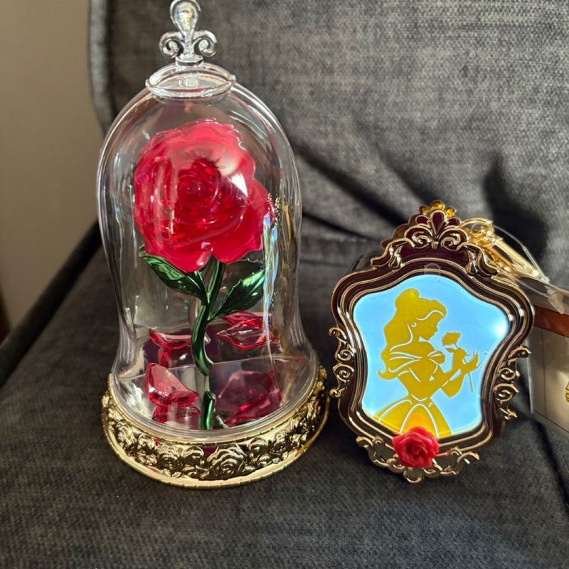 Belle BBW light up pocketbac and rose wallflower 