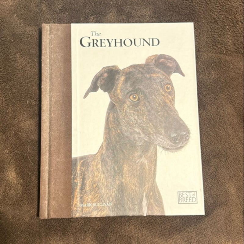 The greyhound 