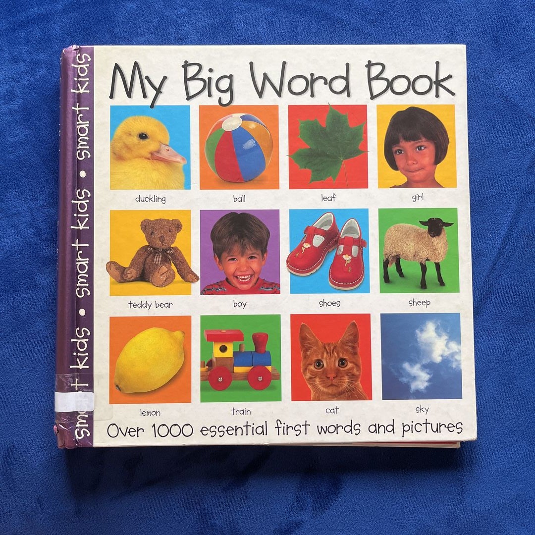 My Big Word Book by Roger Priddy, Hardcover | Pangobooks