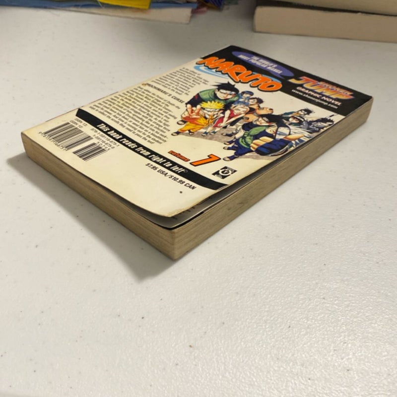 Naruto, Vol. 7