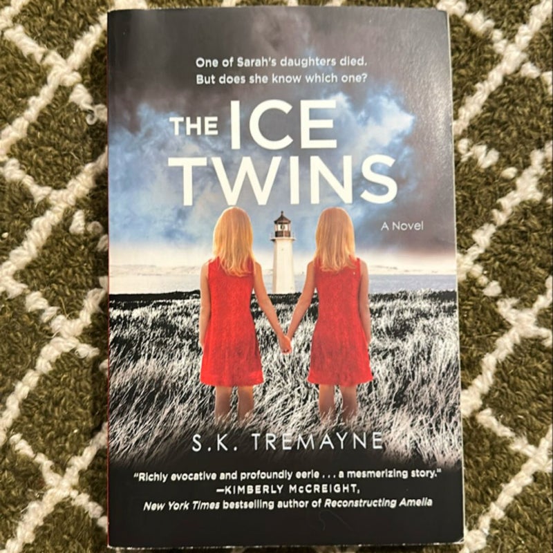 The Ice Twins