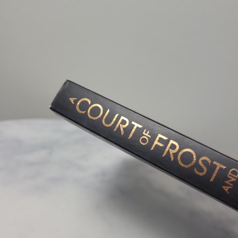 A Court of Frost and Starlight | UK Waterstones Fan Art Exclusive