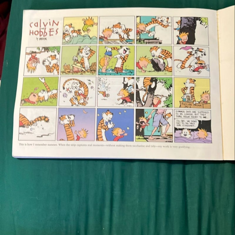 The Calvin and Hobbes Tenth Anniversary Book