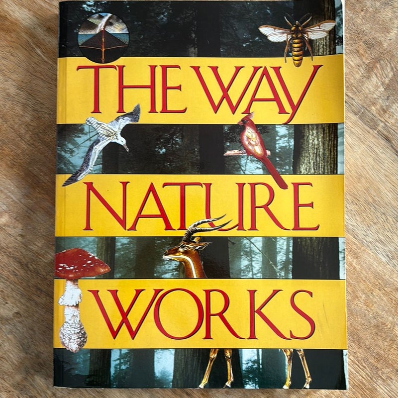 The Way Nature Works