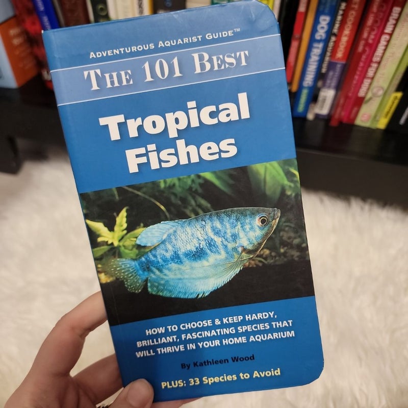 The 101 Best Tropical Fishes