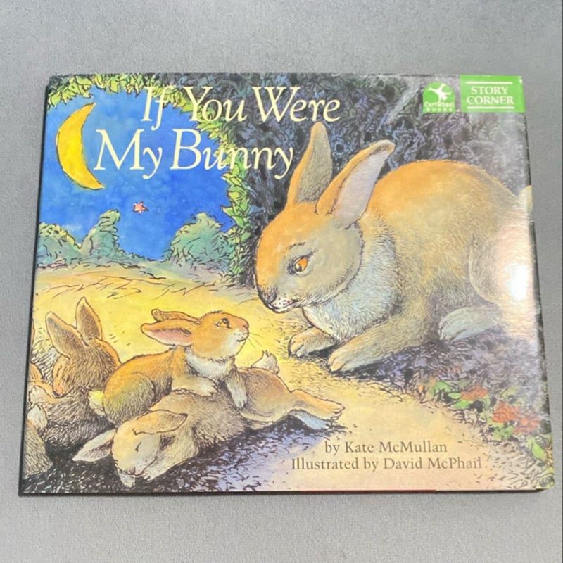 If You Were My Bunny