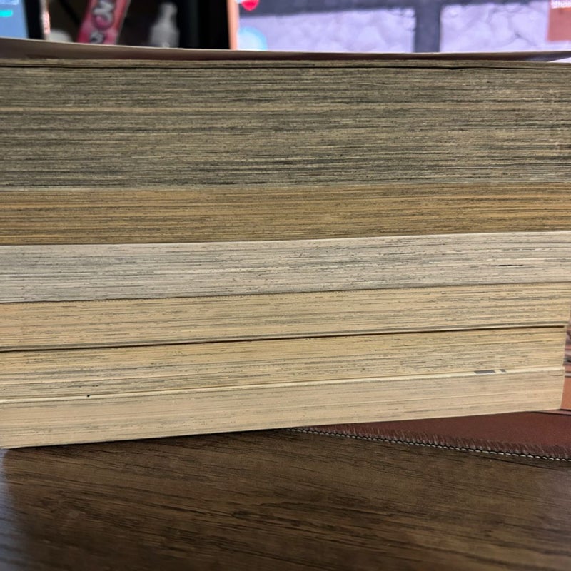Shoujo Manga Lot (High School Debut, Love Hina, etc.)
