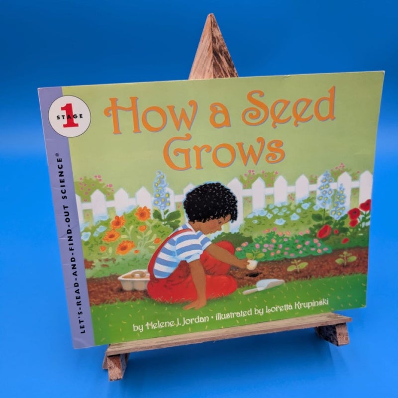 How a Seed Grows