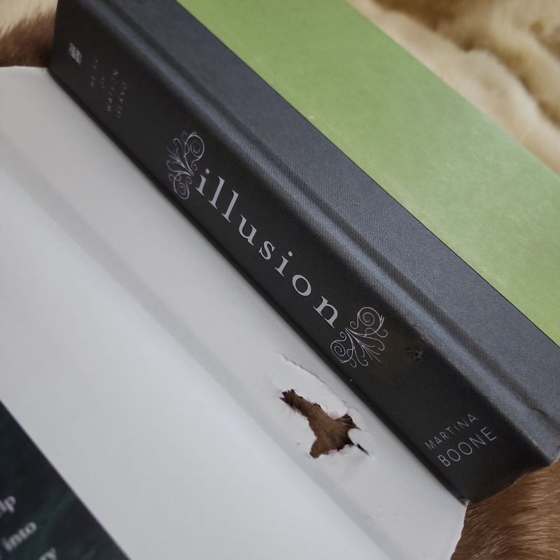 Illusion