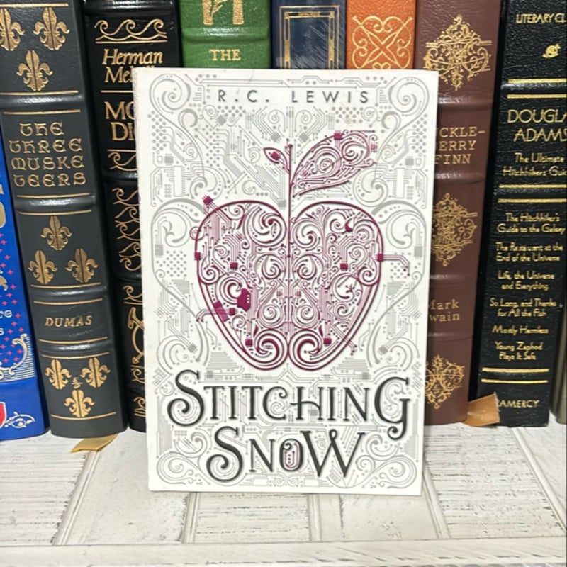 Stitching Snow