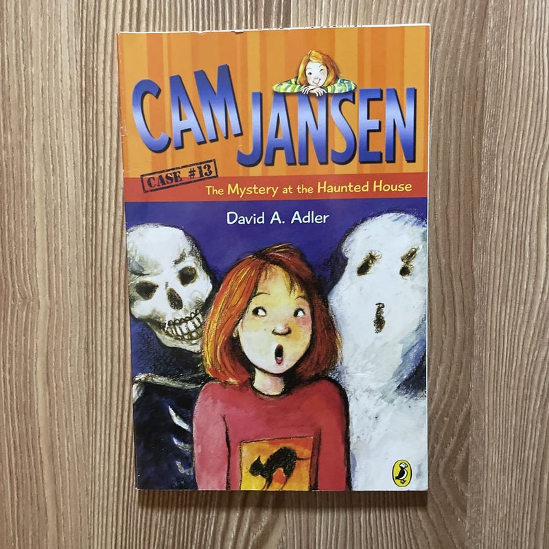 Cam Jansen: the Mystery at the Haunted House #13