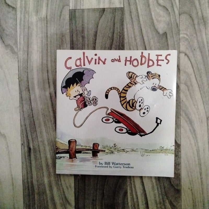 Calvin and Hobbes