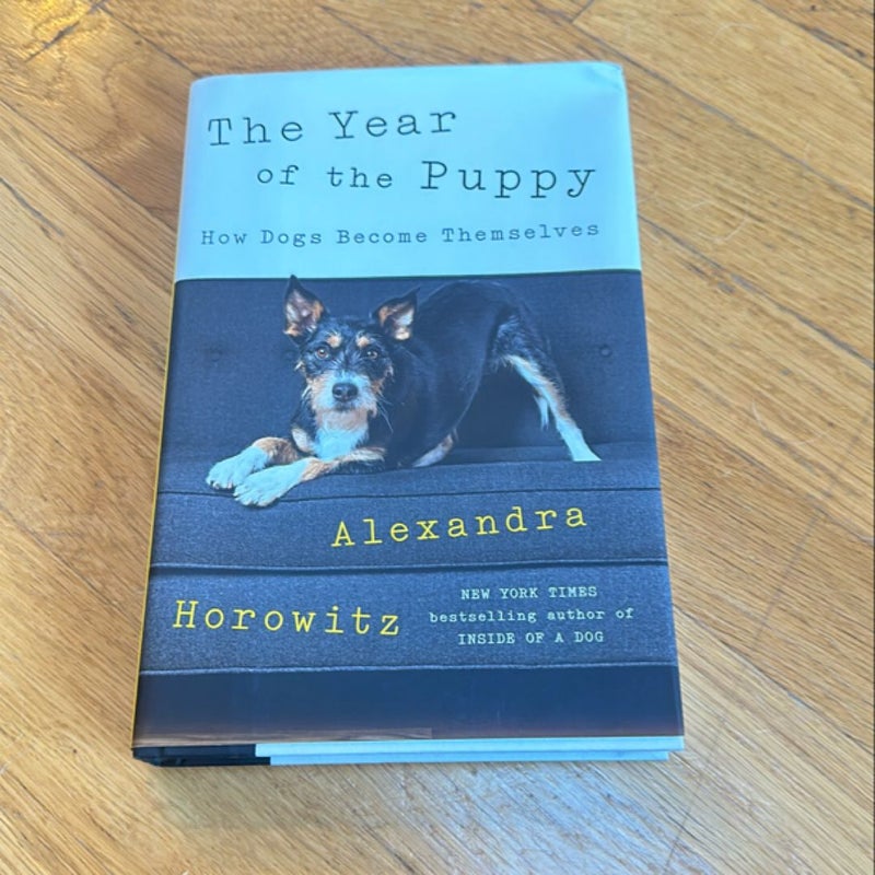 The Year of the Puppy