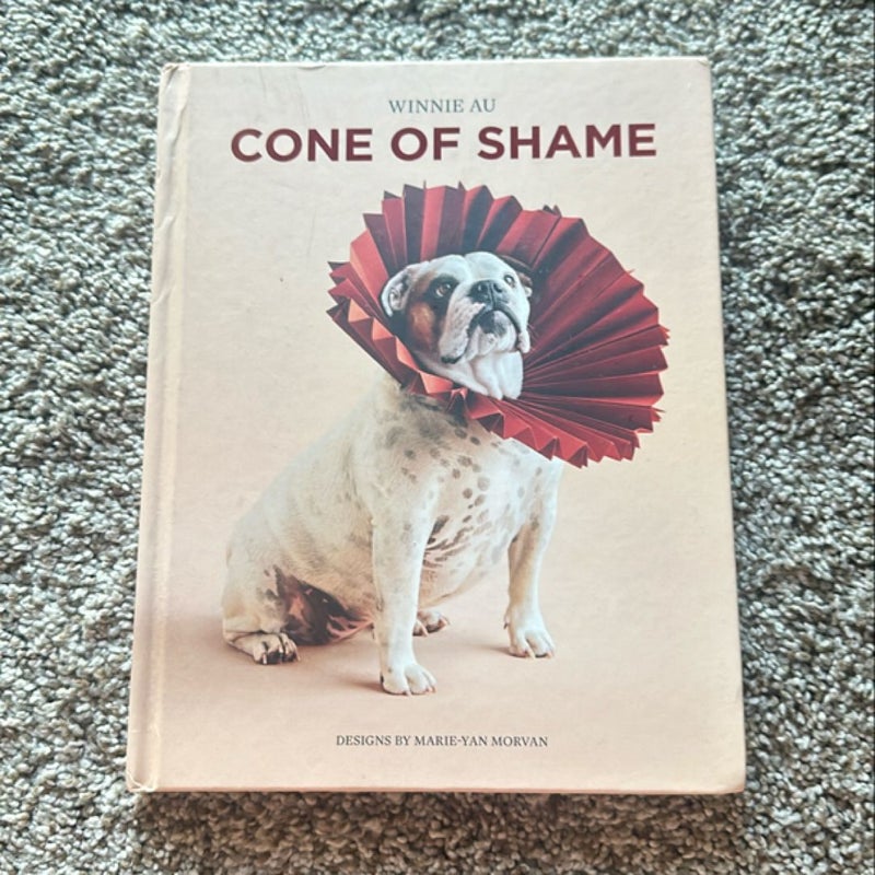 Cone of Shame