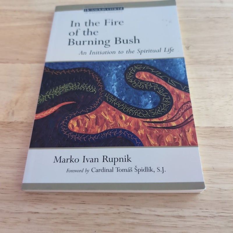 In the Fire of the Burning Bush