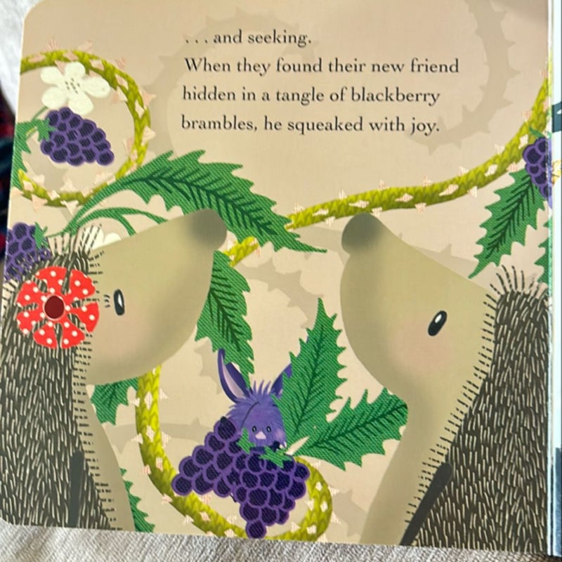 Hedgehugs: Autumn Hide-And-Squeak BOARDBOOK