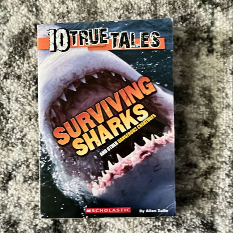 Surviving Sharks (10 True Tales)