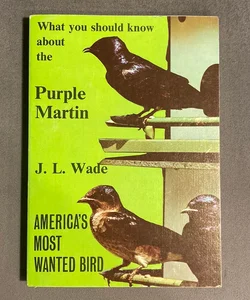 What You Should Know About The Purple Martin