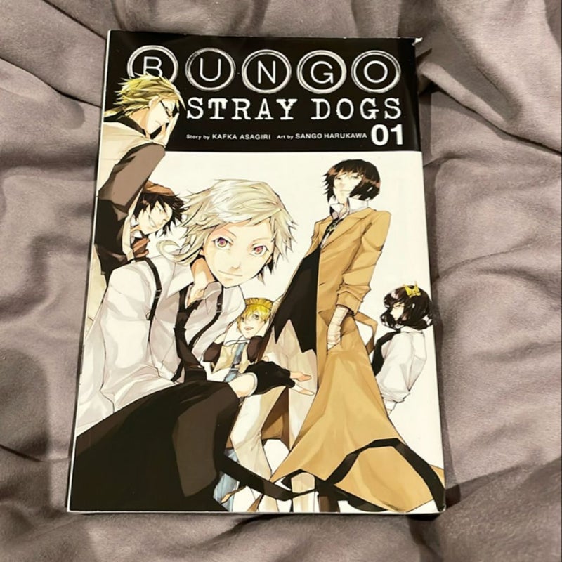 Bungo Stray Dogs, Vol. 1