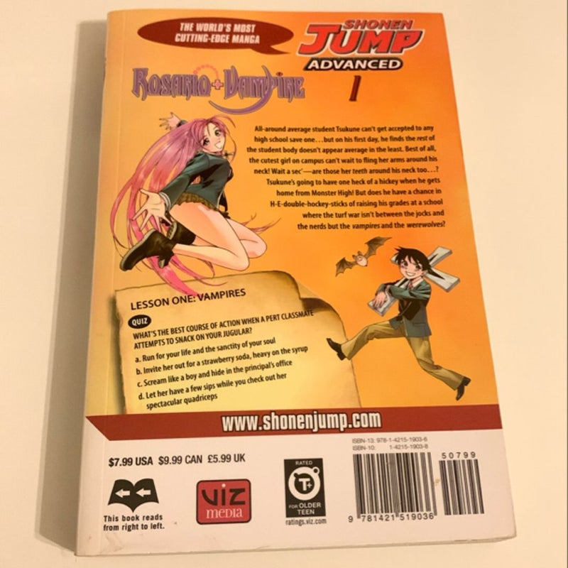 Rosario+Vampire, Vol. 1