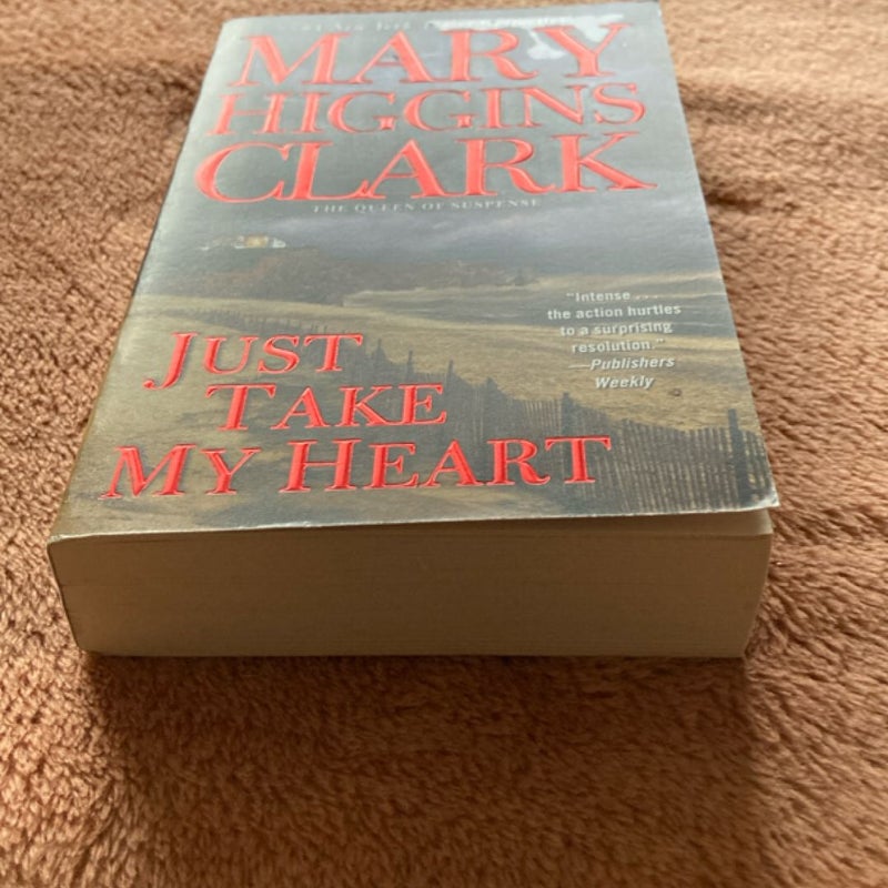 Just Take My Heart