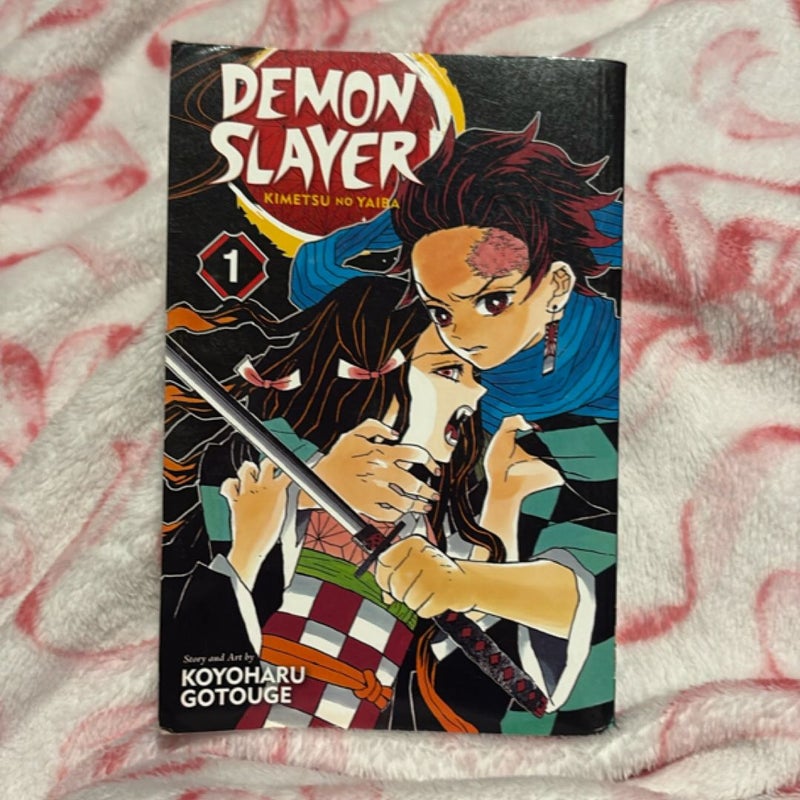 Demon Slayer: Kimetsu No Yaiba, Vol. 1