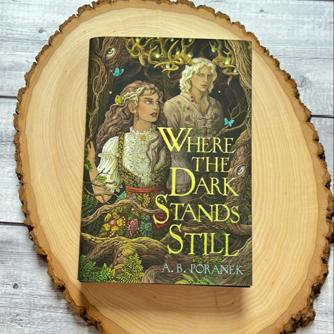 Where the Dark Stands Still