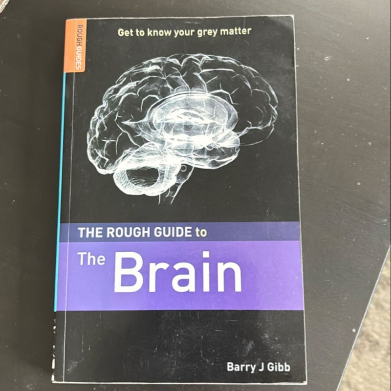 The Rough Guide to Brain