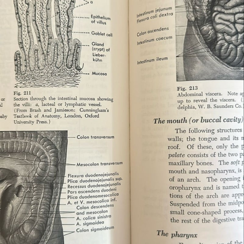 Textbook of Anatomy and Physiology Hardcover