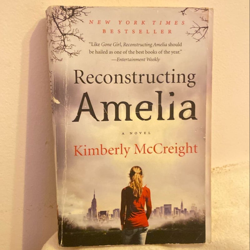 Reconstructing Amelia