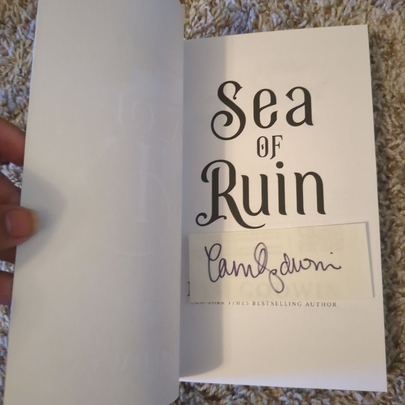 Sea of Ruin 