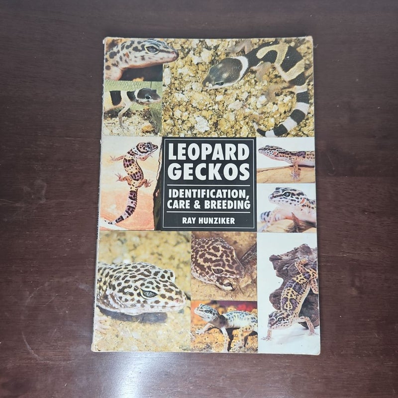 Leopard Geckos