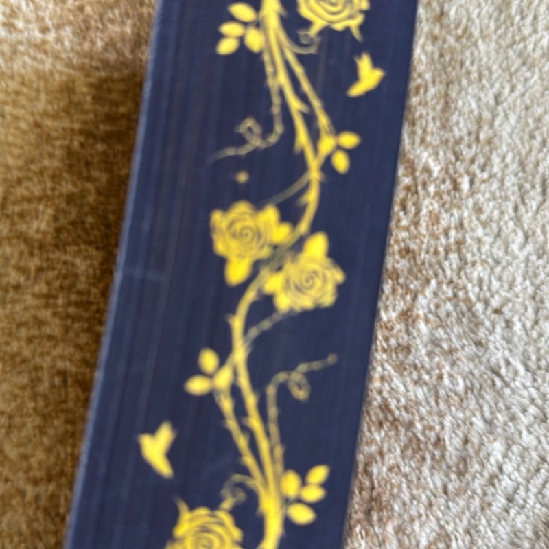 Twin Crowns *Fairyloot Exclusive Paperback Edition* *Hand Signed by BOTH Authors*