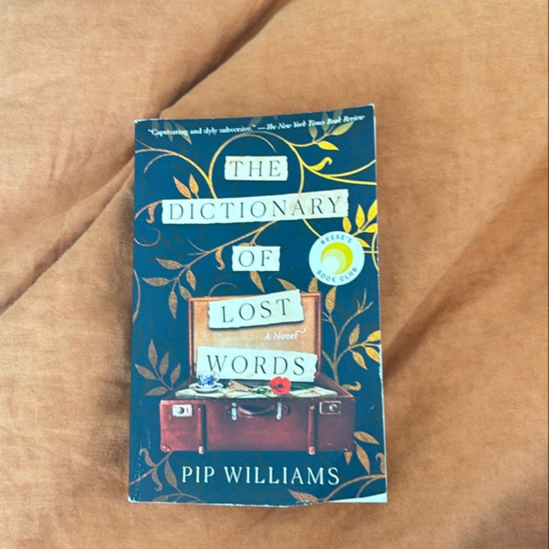 The Dictionary of Lost Words