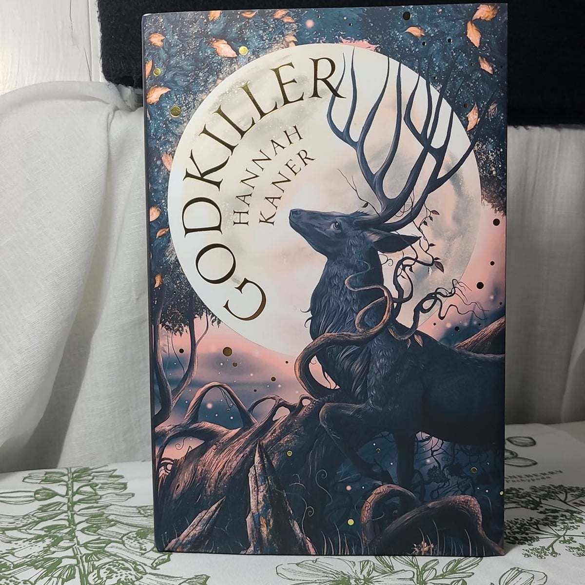 Godkiller by Hannah Kaner, Hardcover | Pangobooks