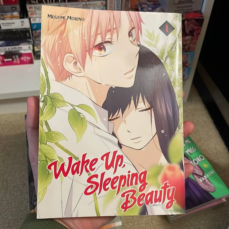 Wake up, Sleeping Beauty 1