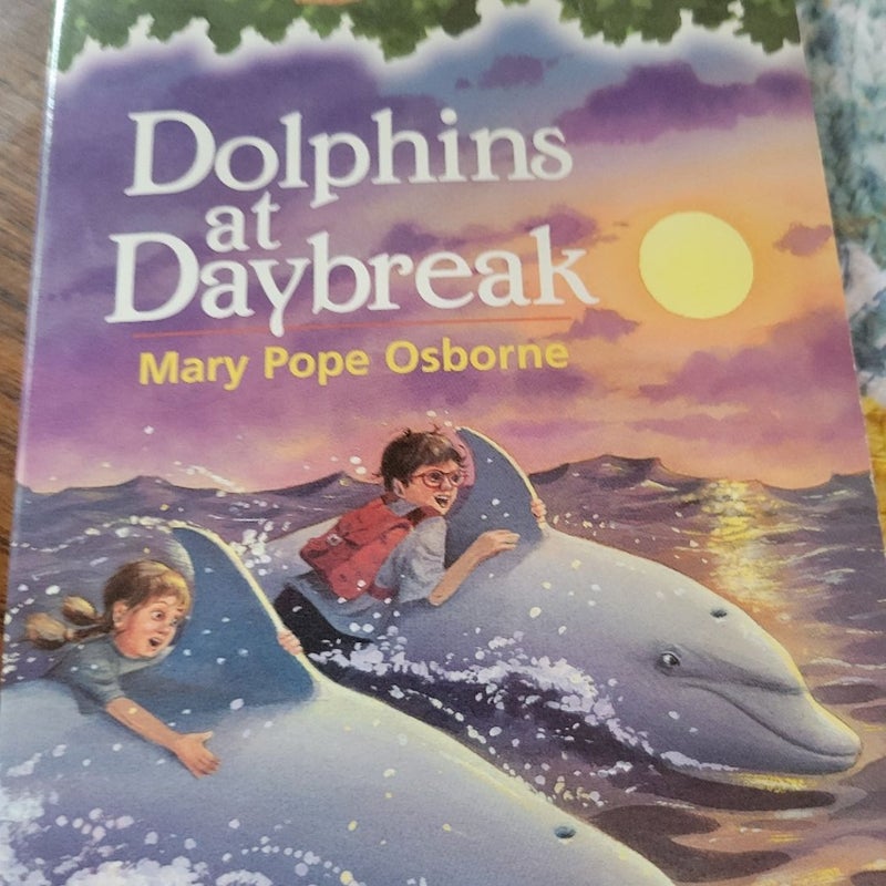 Magic tree house. Dolphins at daybreak